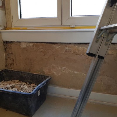 20190225_114925.400x400-crop.JPG