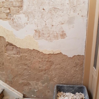 20190225_115016.400x400-crop.JPG