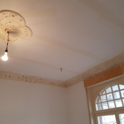 20190228_113946.400x400-crop.JPG