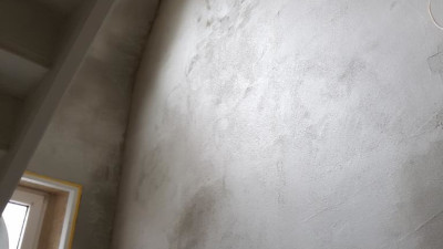 20190301_132228-1.400x225-crop.JPG