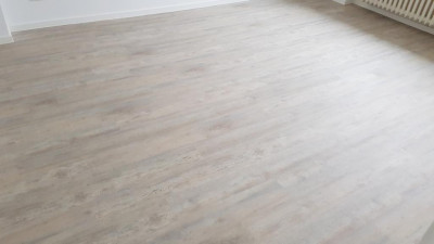 20190314_132413.400x225-crop.JPG