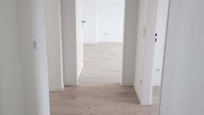 20190314_132500-1.400x225-crop.JPG