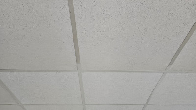 20240209_113147.400x225-crop.jpg